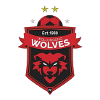 Wollongong Wolves FC U20