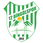 12 Bingolspor