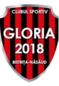 FC Gloria Bistrita (W)