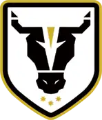 Bulls FC Academy (W)