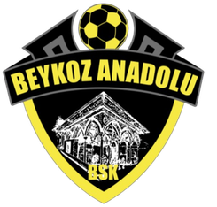 Beykoz Anadolu Spor